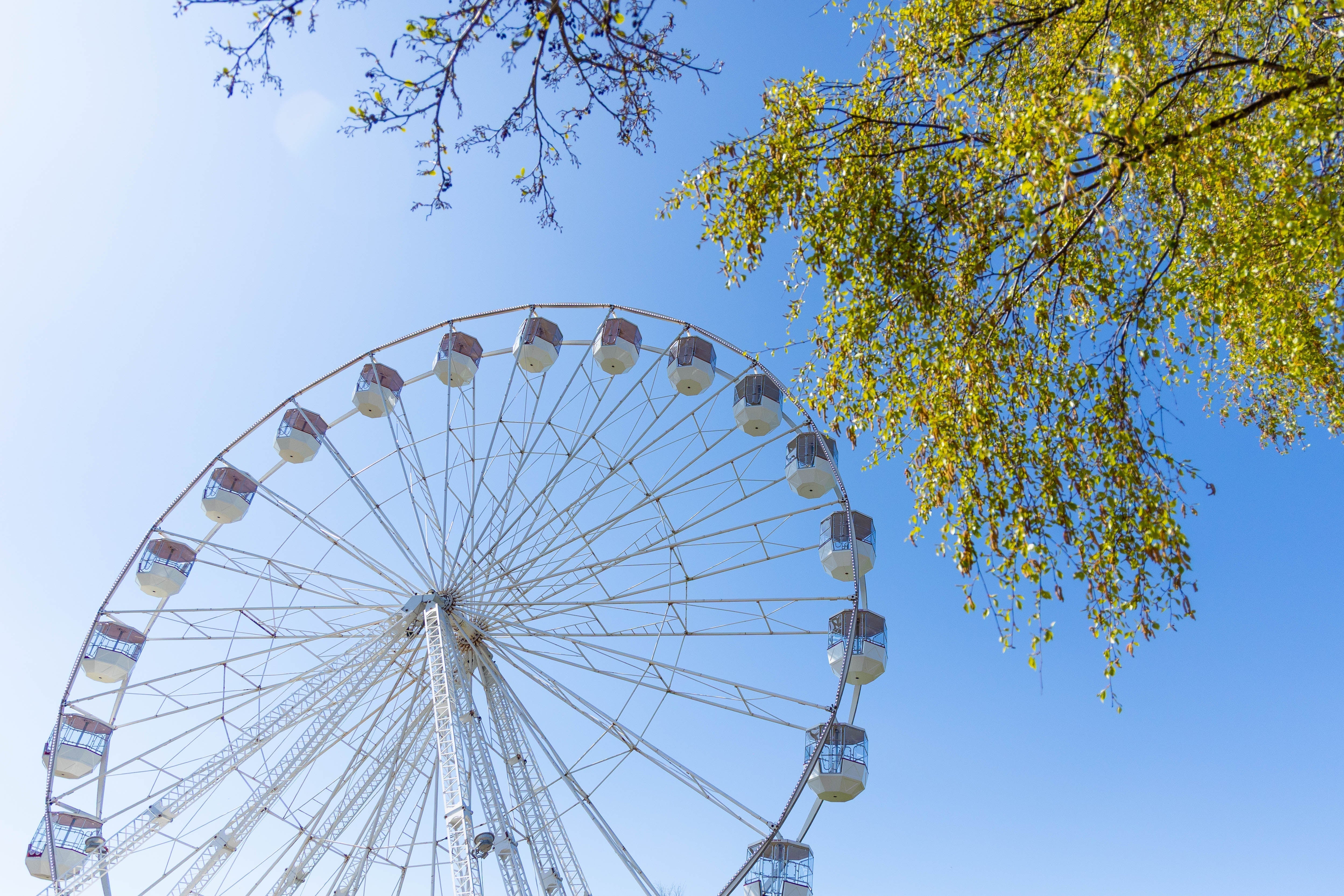 It’s back – see Fota Wildlife Park from above!