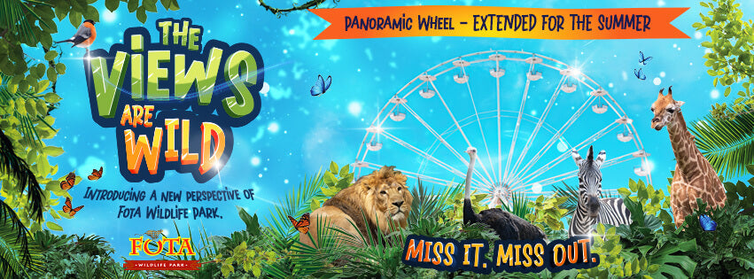 Panoramic Wheel - Extended for the summer!