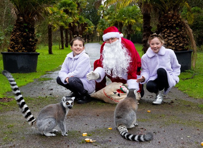 Visitors return to Fota Wildlife Park following Christmas reopening