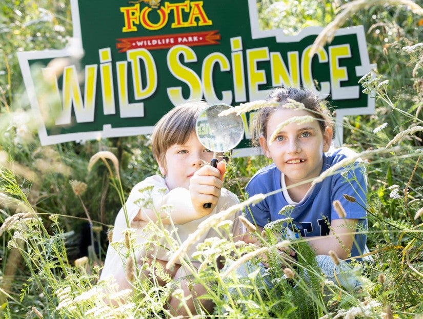 Fota Wildlife Park Announces 2025 Educational Weekends Line-up