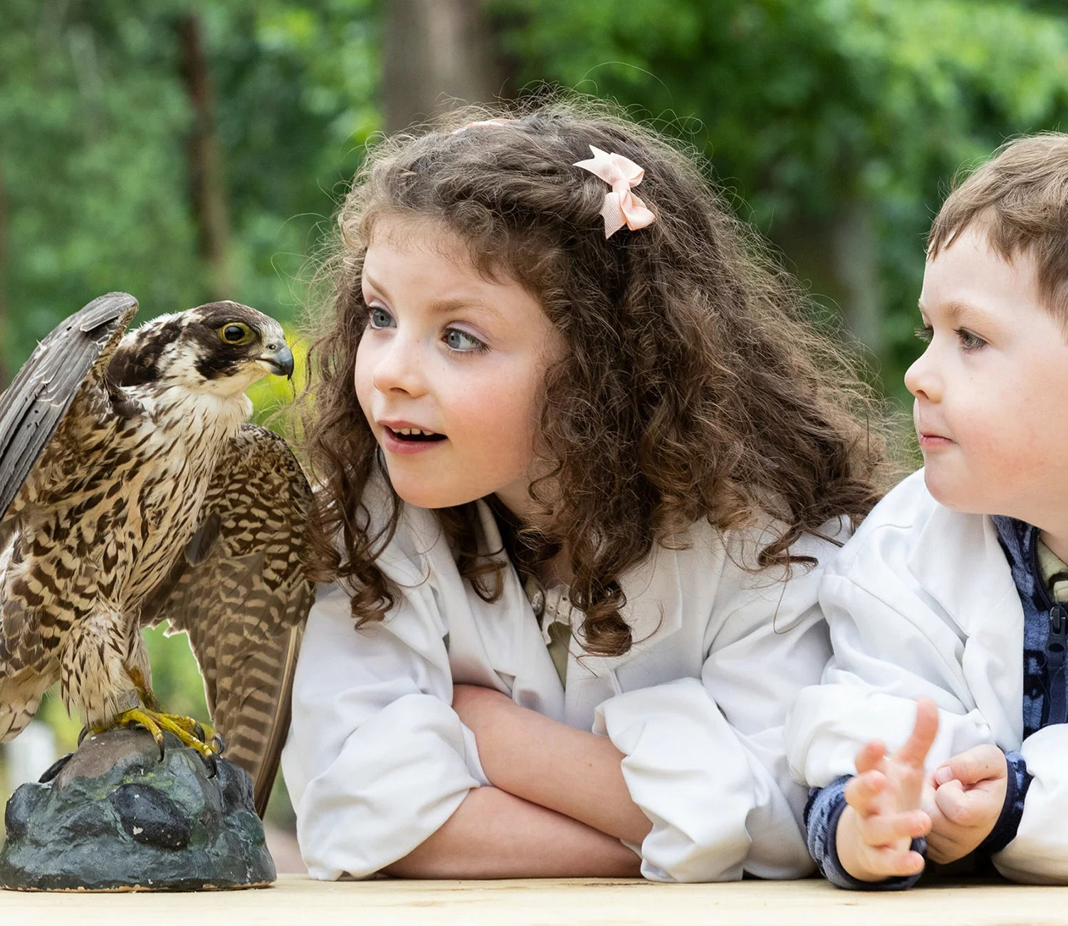 Fota Wildlife Park Announces Exciting Educational Weekends for Summer 2024