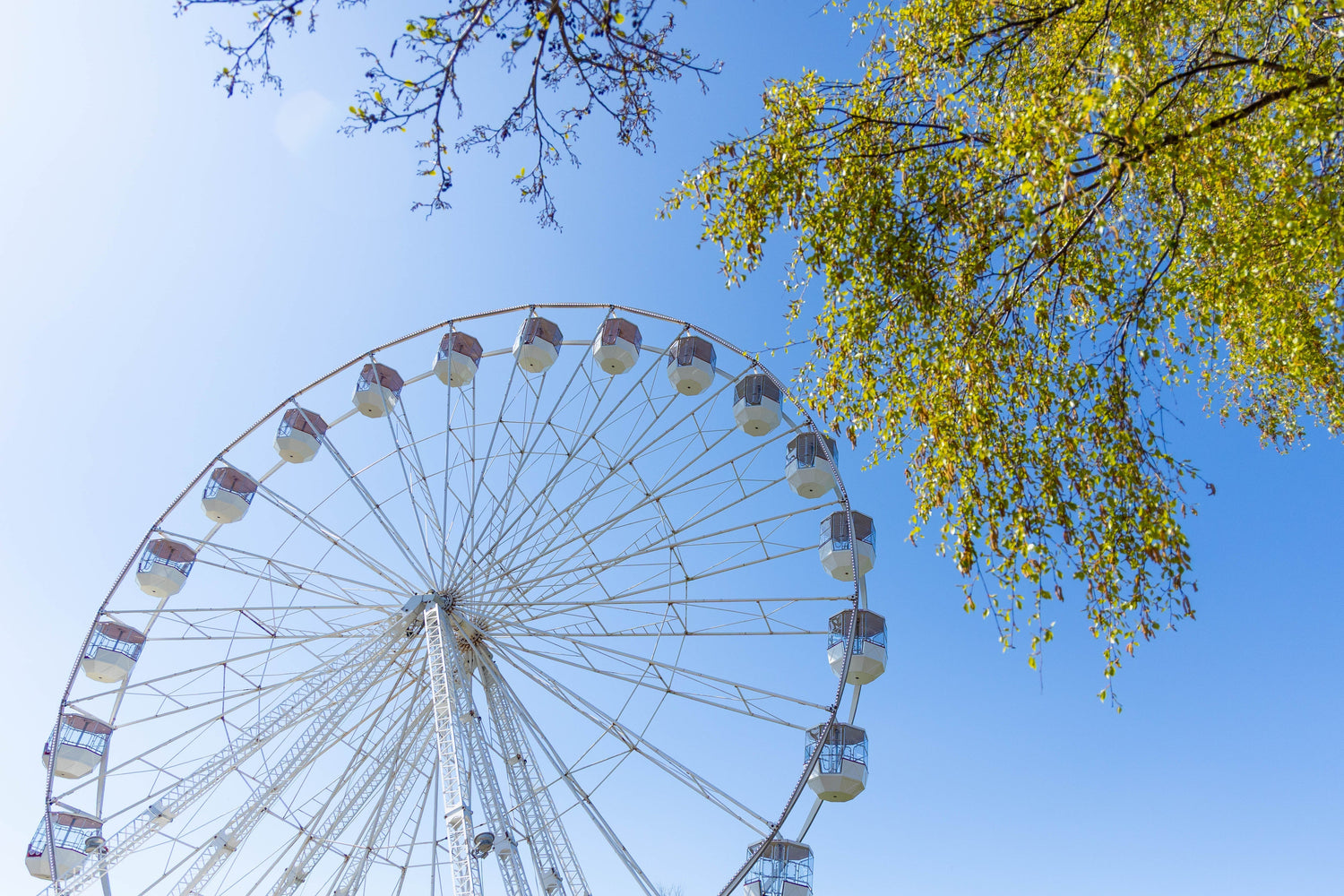 It’s back – see Fota Wildlife Park from above!
