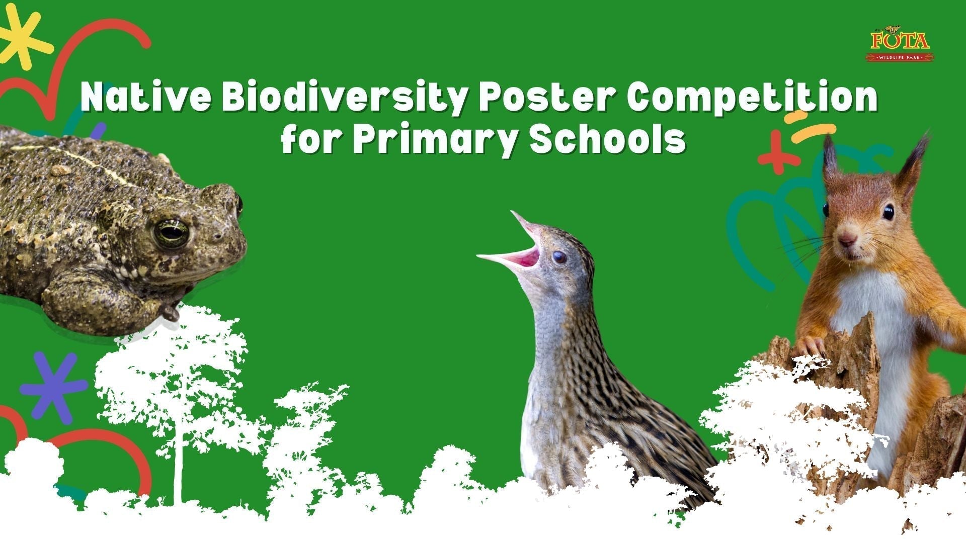 Fota Wildlife Park Irish Native Biodiversity Poster Competition for Primary Schools
