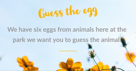 Guess the Egg - Easter Quiz