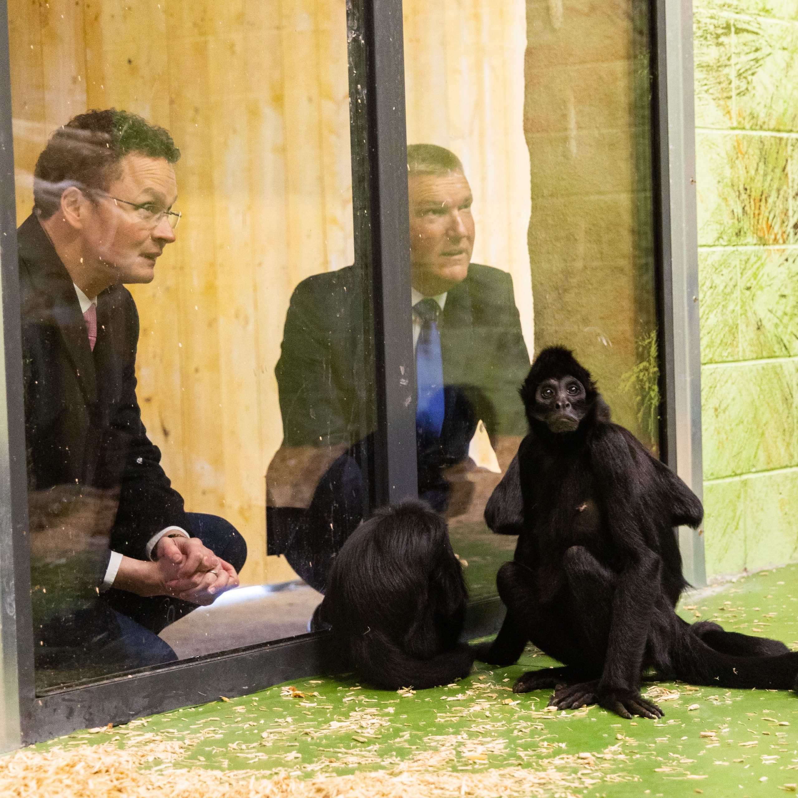 Minister O’Donovan launches new Spider Monkey Habitat that marks OPWs €1 million commitment to capital works at Fota