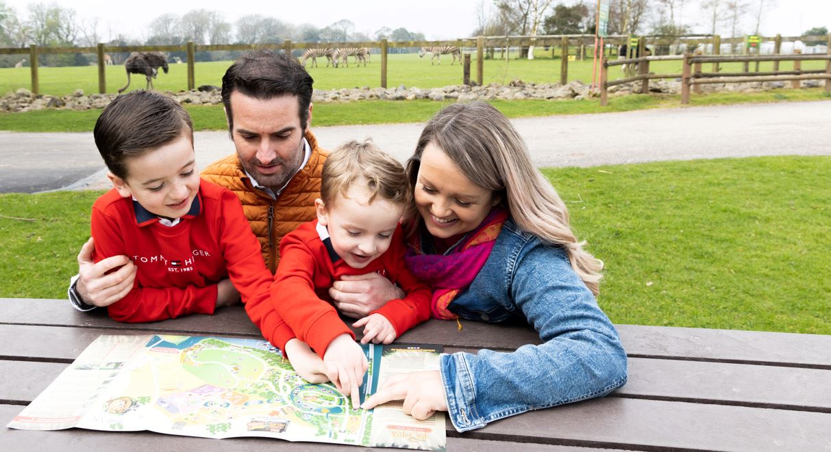 Fota Wildlife Park Hotel Packages – the benefits