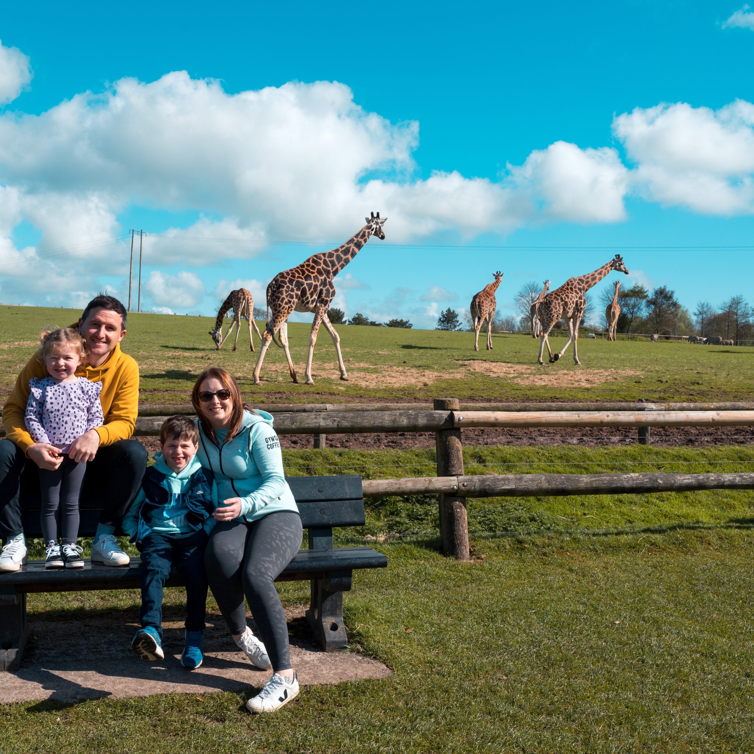 Tickets to Fota Wildlife Park – The Perfect Way to Reward Your Employees