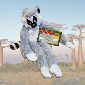Lemur soft toy with Fota Wildlife Park ticket