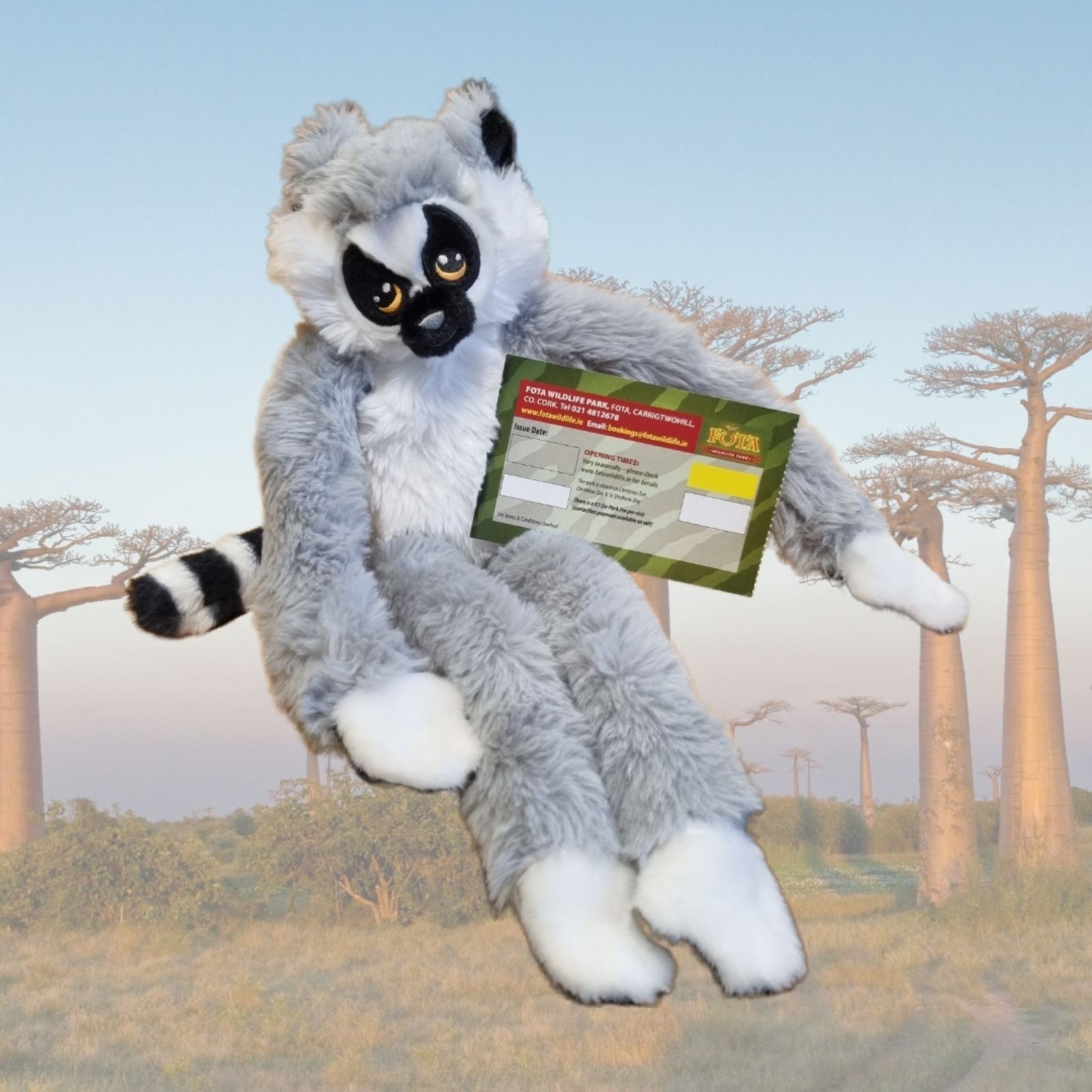 World Lemur Day at Fota Wildlife Park 2022