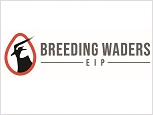 Breeding Waders